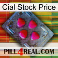 Cial Stock Price 13